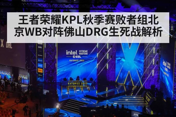 王者荣耀KPL秋季赛败者组北京WB对阵佛山DRG生死战解析
